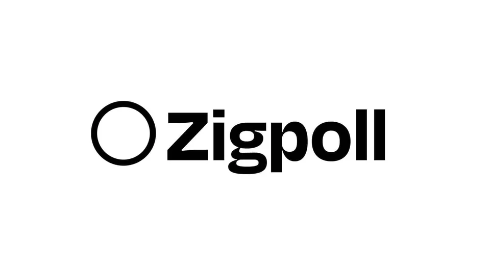 Zigpoll · 官方展示图